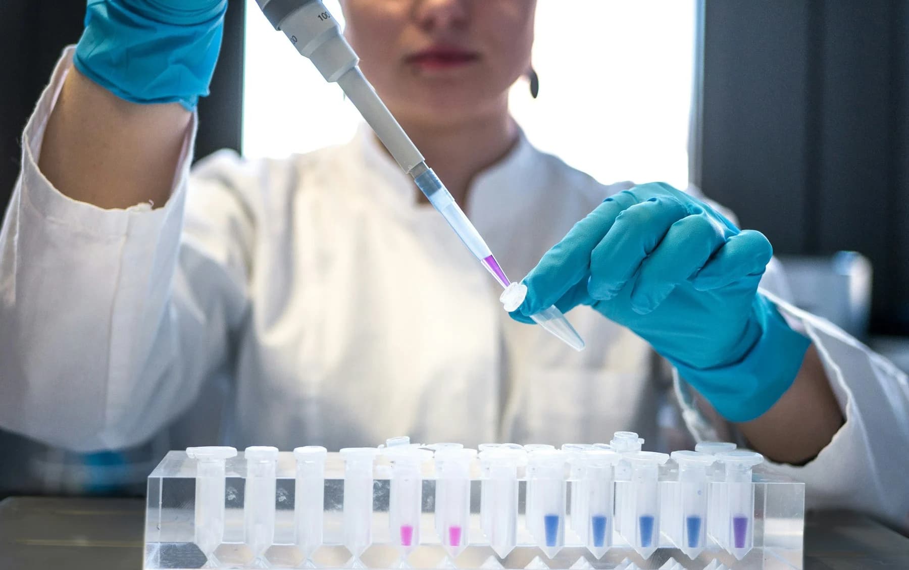 Laboratory researcher transferring a sample with a pipette